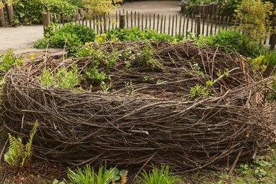 Photo of Big decorative nest with green plants outdoors