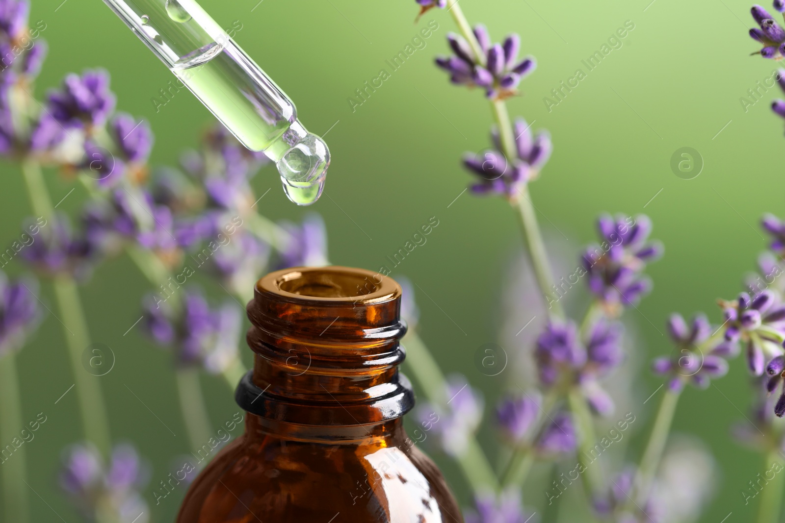 Photo of Dripping essential oil from pipette into bottle near lavender on green background, closeup. Space for text