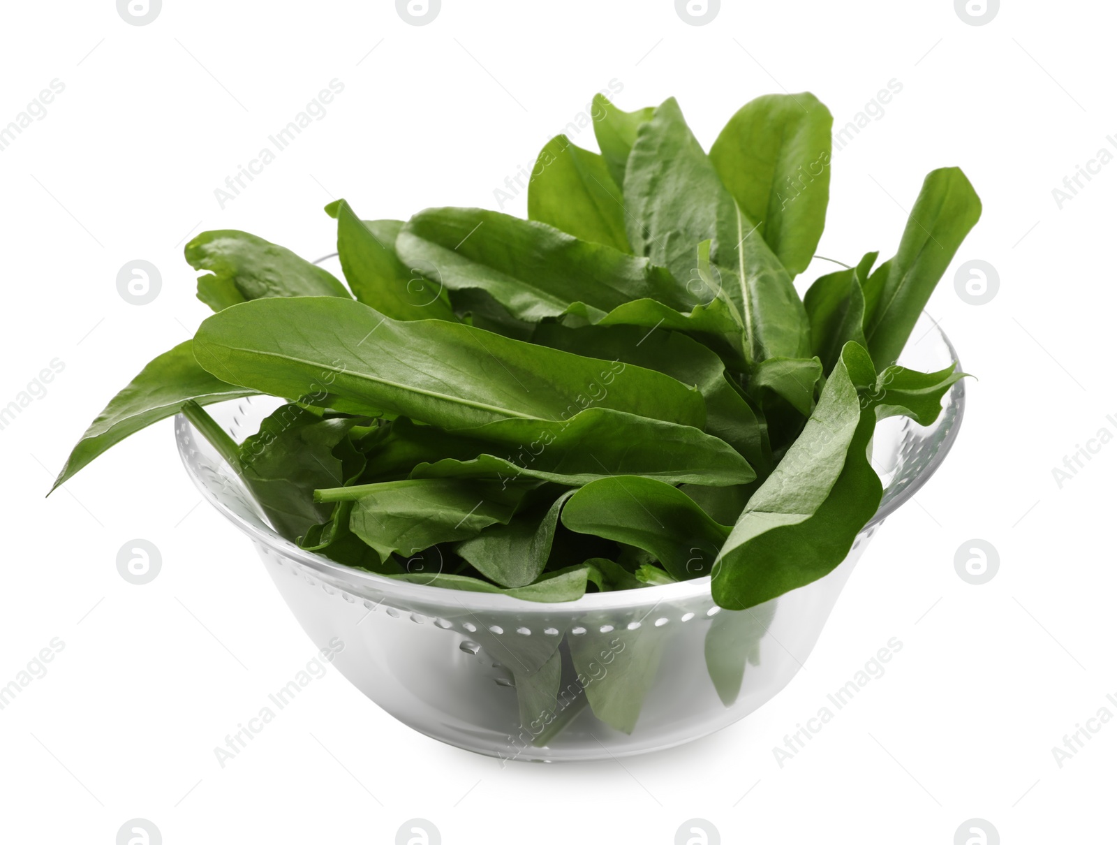 Photo of Fresh green sorrel leaves in glass bowl isolated on white