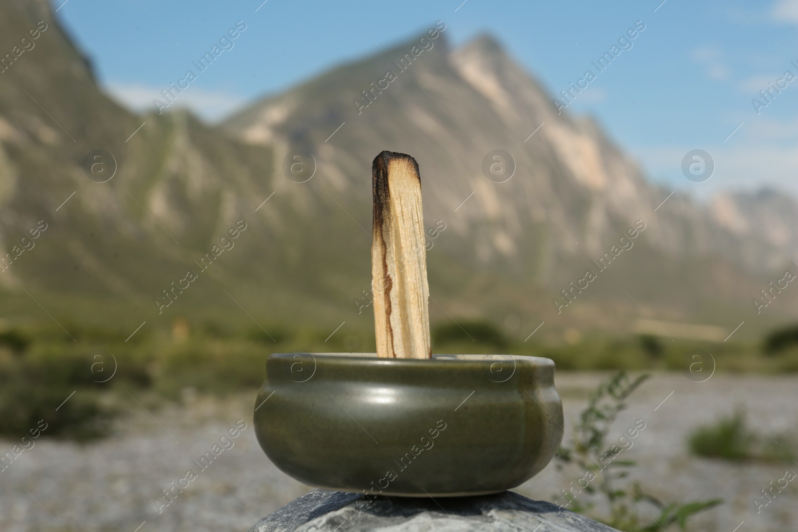 Photo of Burnt palo santo stick in high mountains