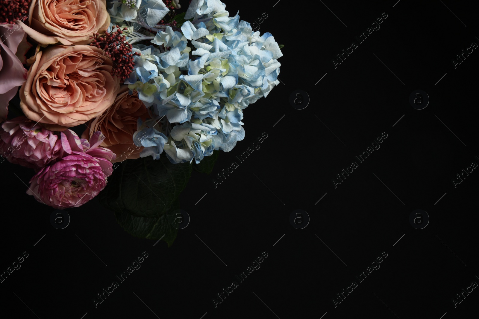 Photo of Beautiful fresh flowers on dark background, space for text