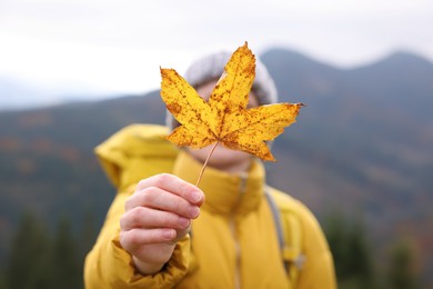 Photo of Woman holding beautiful autumn leaf in mountains, focus on hand