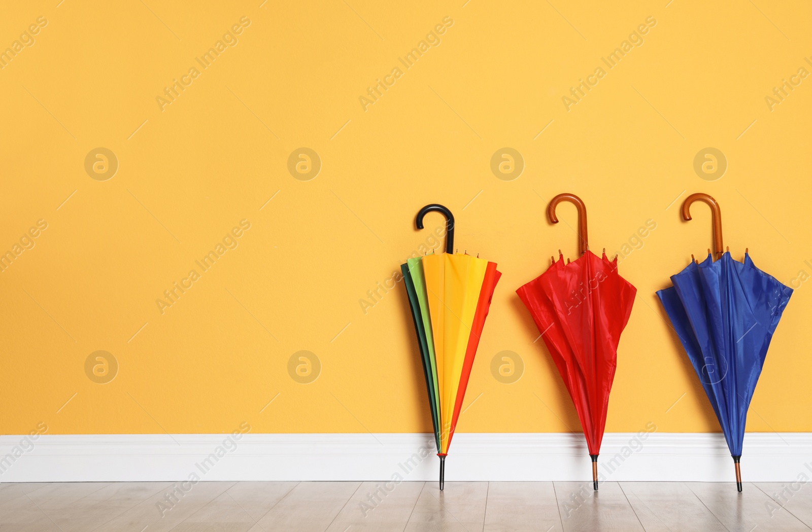 Photo of Beautiful bright umbrellas on floor near color wall with space for design