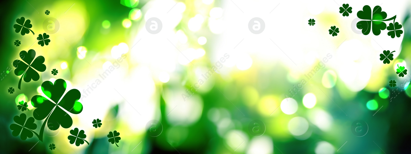 Image of Beautiful clover leaves on blurred green background. St Patrick's day