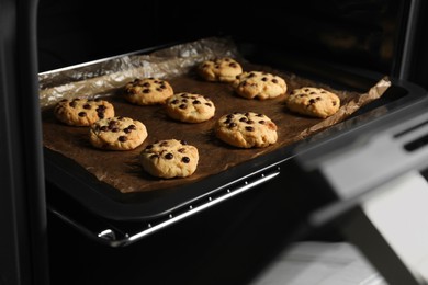 Baking delicious chocolate chip cookies in oven, closeup