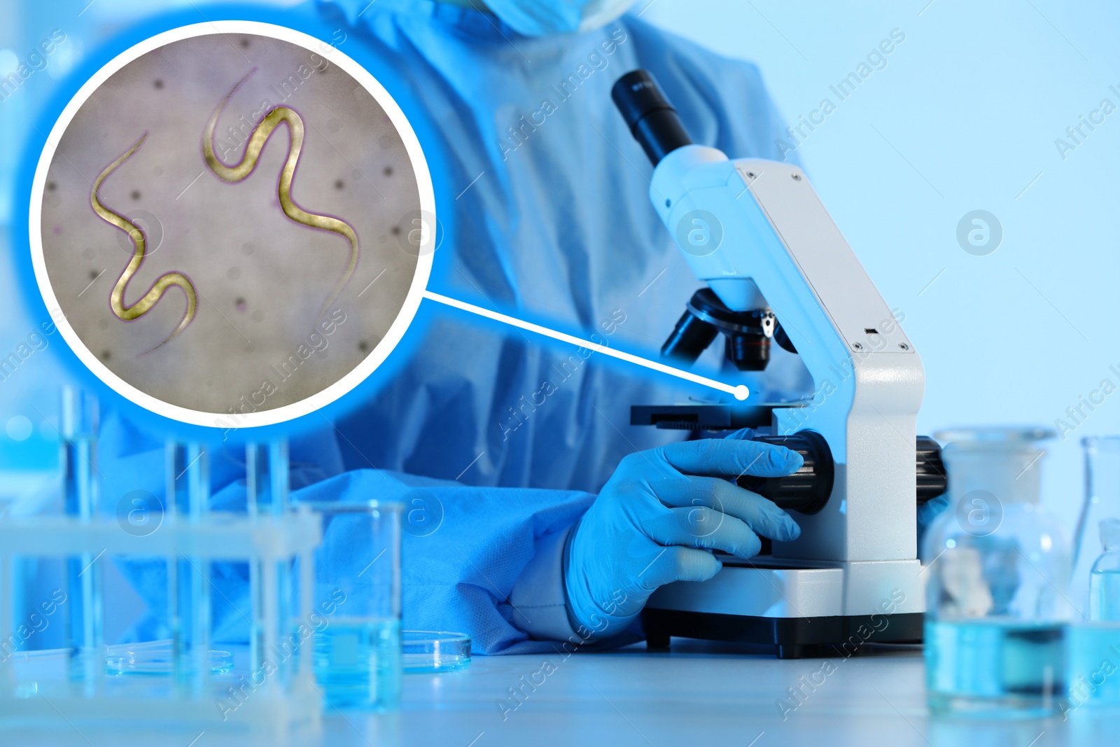 Image of Laboratory worker using modern microscope to examine helminths, closeup. Zoomed view on parasitic worms