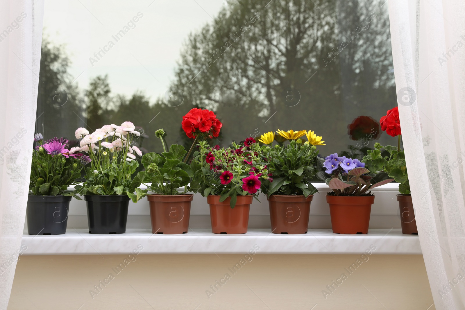 Photo of Different beautiful potted flowers on windowsill indoors