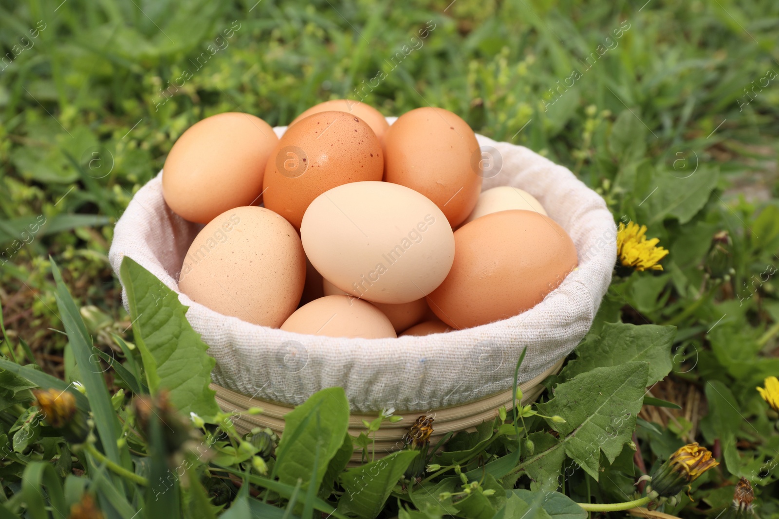 Photo of Fresh chicken eggs in basket on green grass outdoors