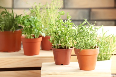 Photo of Pots with fresh rosemary on table against blurred background