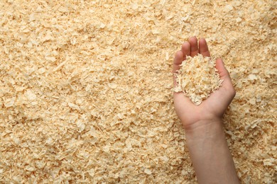 Photo of Woman holding dry natural sawdust, top view