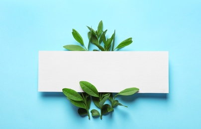 Photo of Blank card with green leaves on color background