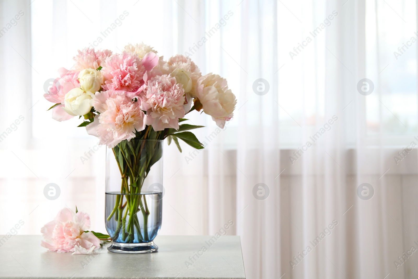 Photo of Beautiful peony bouquet in vase on table indoors. Space for text