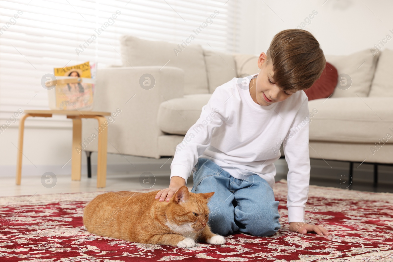 Photo of Little boy petting cute ginger cat on carpet at home