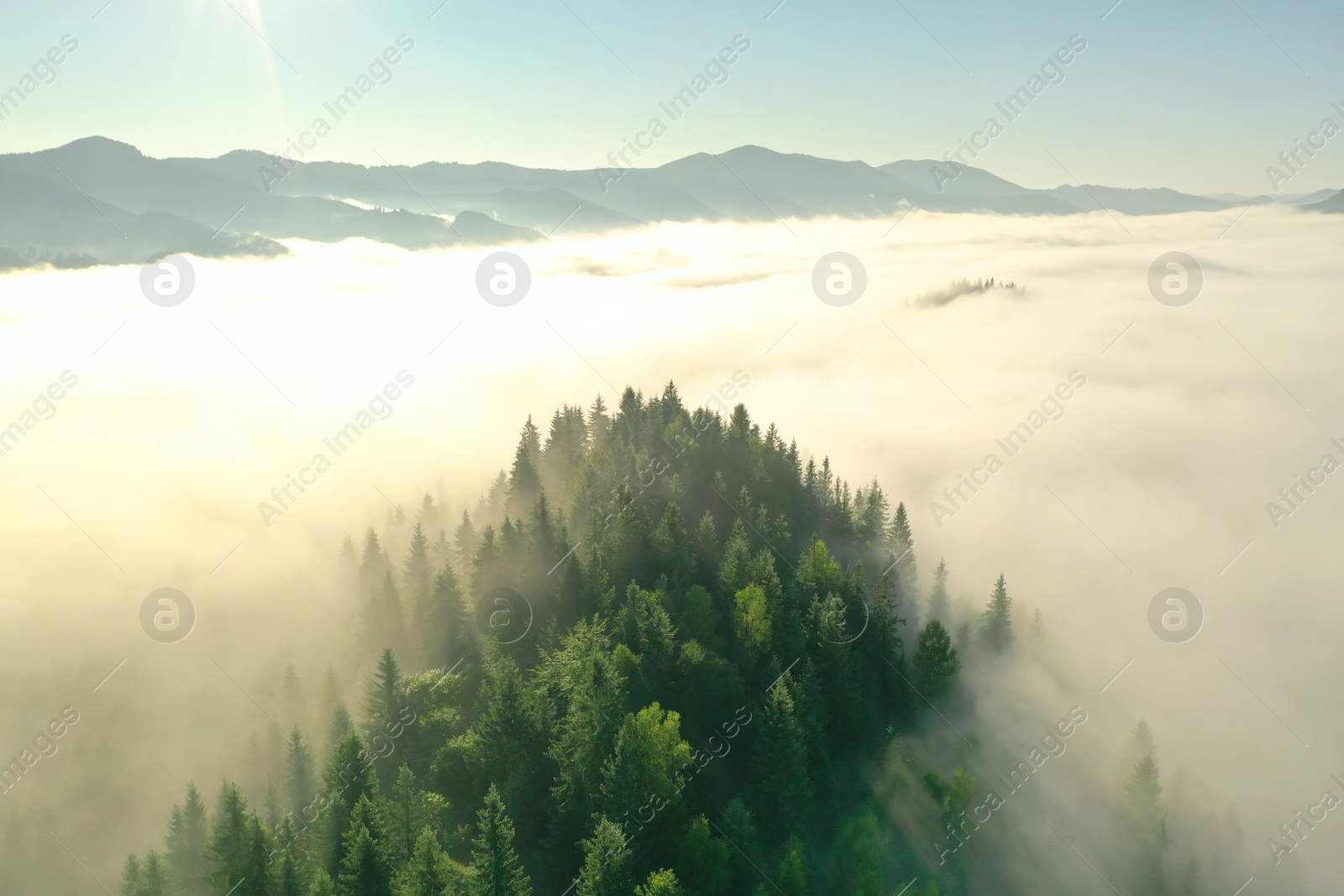 Photo of Aerial view of beautiful landscape with misty forest in mountains