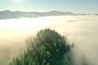 Aerial view of beautiful landscape with misty forest in mountains