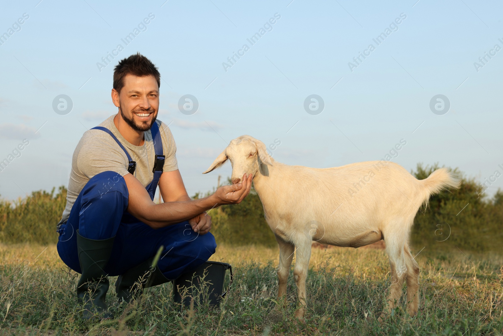 Photo of Man feeding goat at farm. Animal husbandry