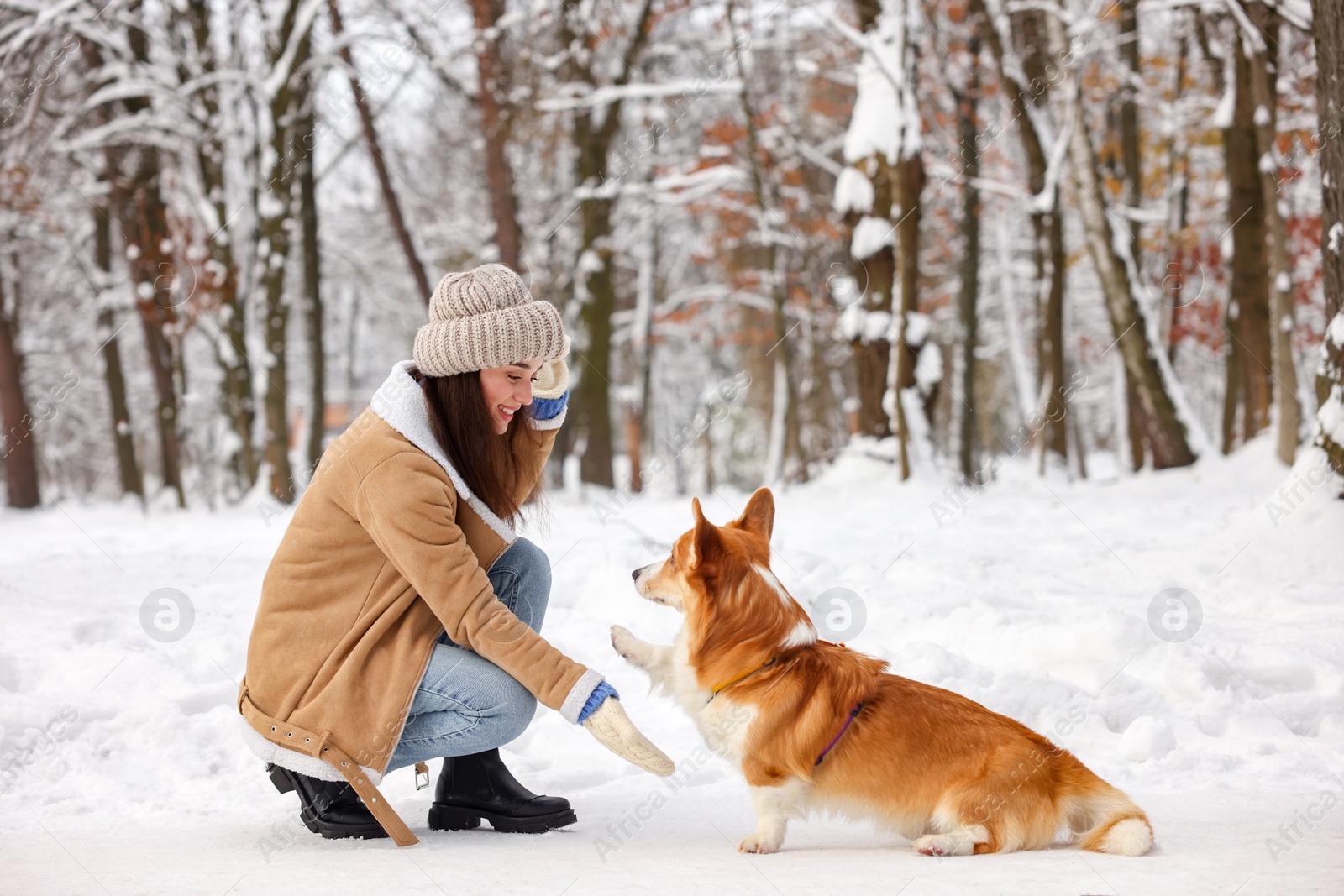 Photo of Woman with adorable Pembroke Welsh Corgi dog in snowy park