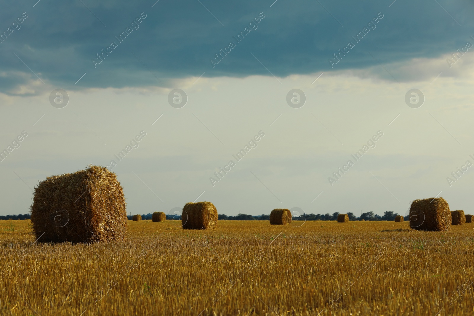 Photo of Beautiful view of agricultural field with hay bales