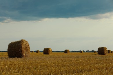 Beautiful view of agricultural field with hay bales