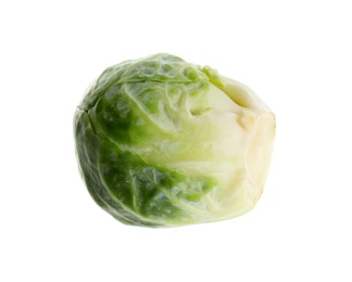 Fresh tasty Brussels sprout isolated on white