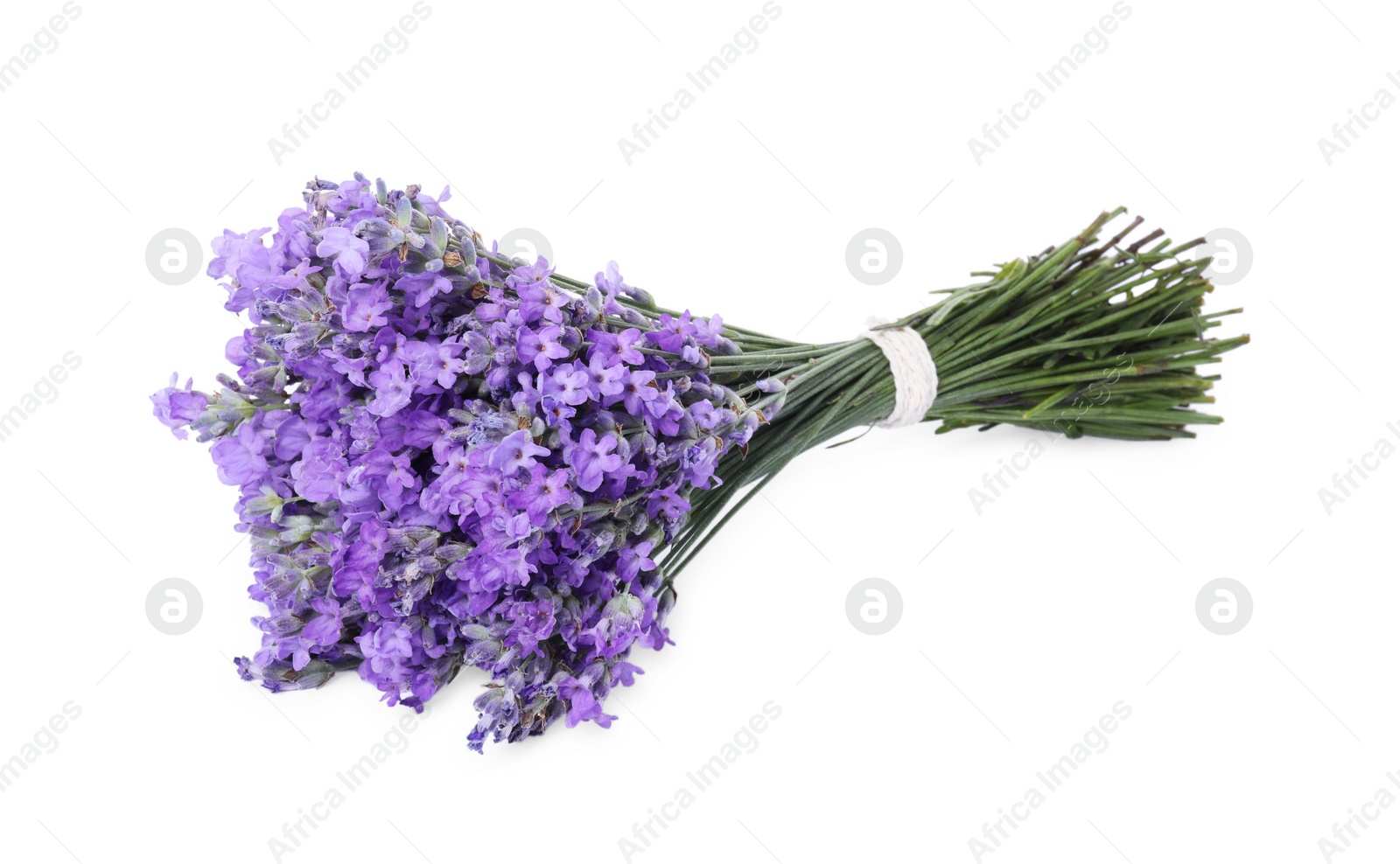 Photo of Bouquet of beautiful lavender flowers isolated on white