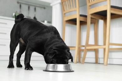 Photo of Cute Pug dog eating from metal bowl in kitchen, space for text