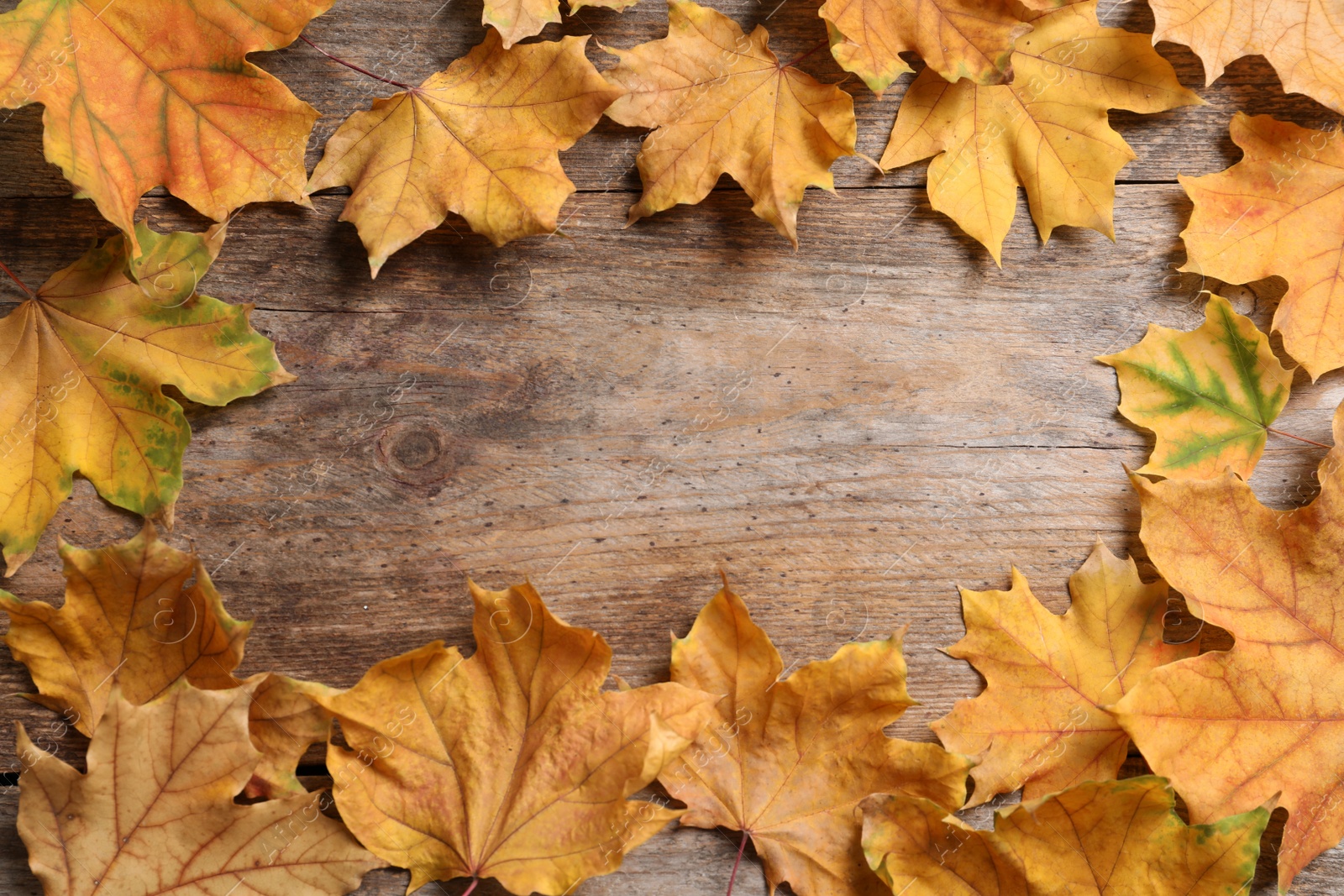 Photo of Composition with autumn leaves and space for text on wooden background, top view