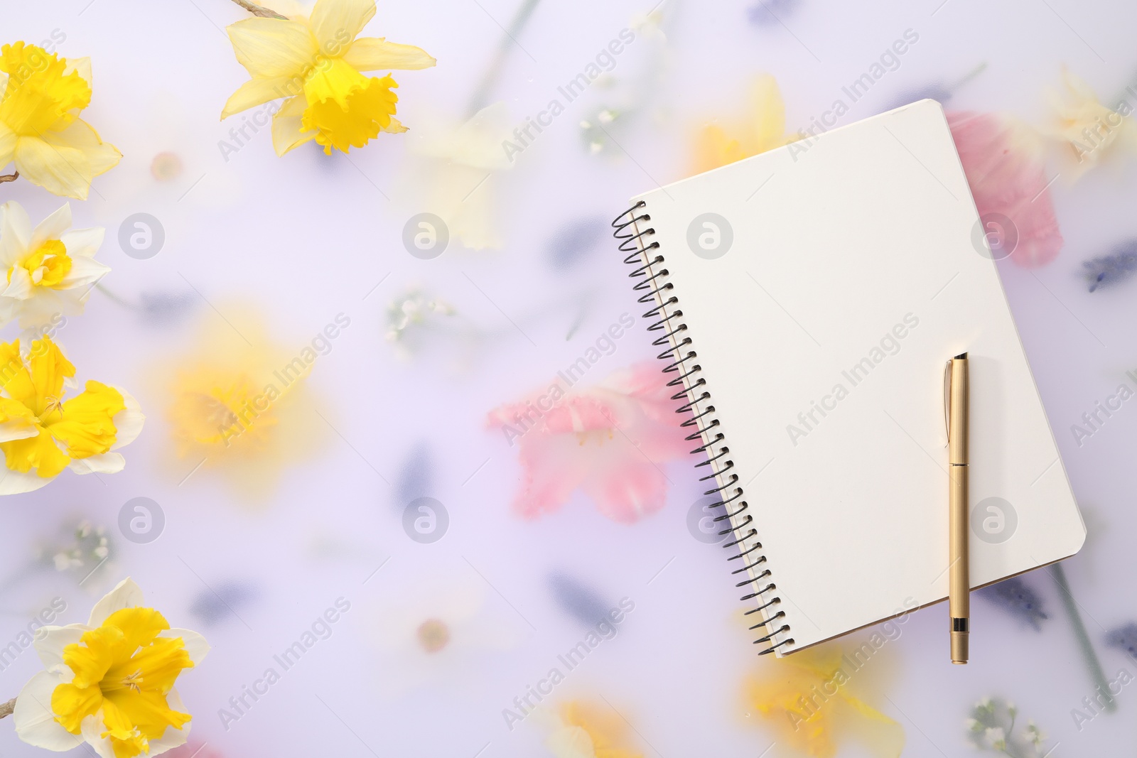 Photo of Guest list. Notebook, pen and daffodils on spring floral background, flat lay. Space for text