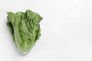 Photo of Fresh green romaine lettuce on white background, top view. Space for text