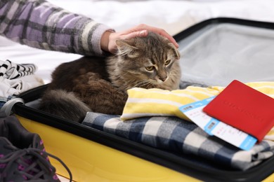 Travel with pet. Woman stroking cat indoors, closeup