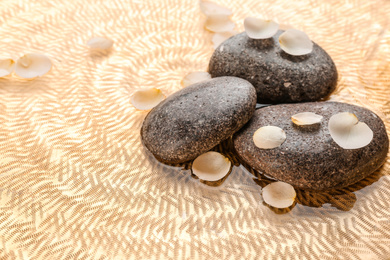 Photo of Stones and flower petals in water. Zen lifestyle