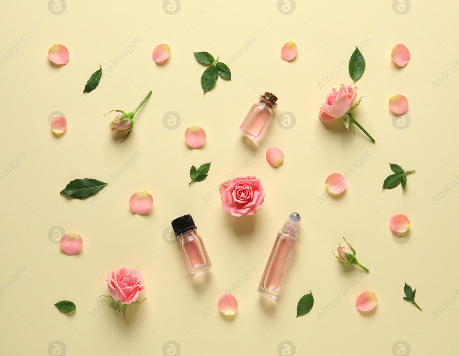 Photo of Flat lay composition with rose essential oil and flowers on color background