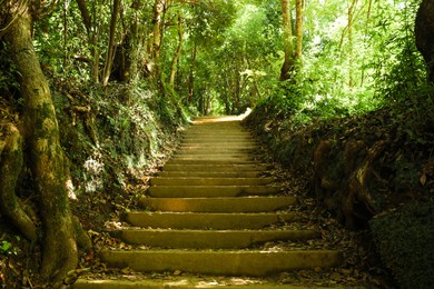 Photo of Beautiful view of stairs in park among trees