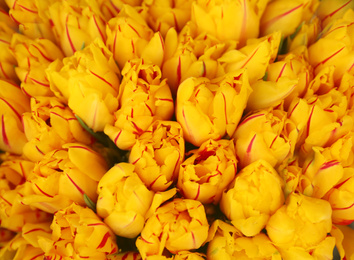Photo of Fresh bright tulip flowers as background, top view. Floral decor