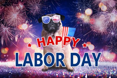 Image of Happy Labor Day. Cute dog with sunglasses and American flag on festive background with fireworks and glitters, bokeh effect