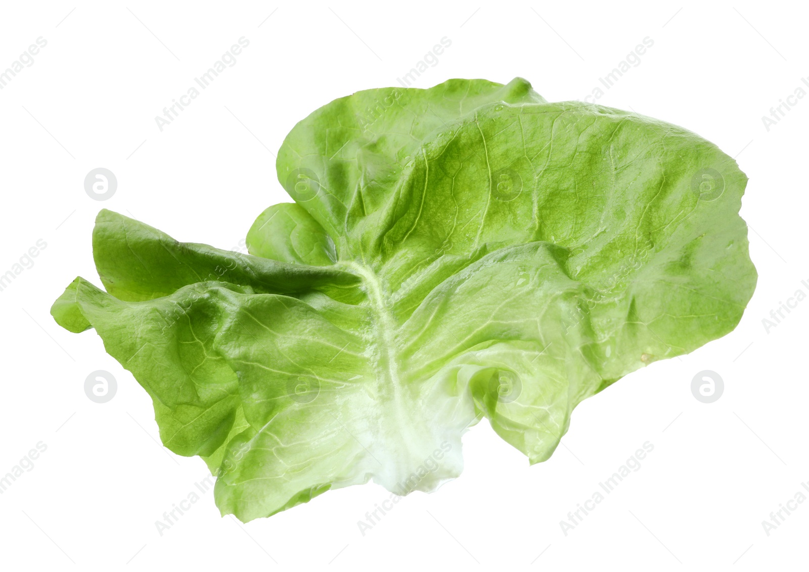 Photo of Fresh leaf of green butter lettuce isolated on white