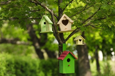 Photo of Different colorful bird houses on tree outdoors