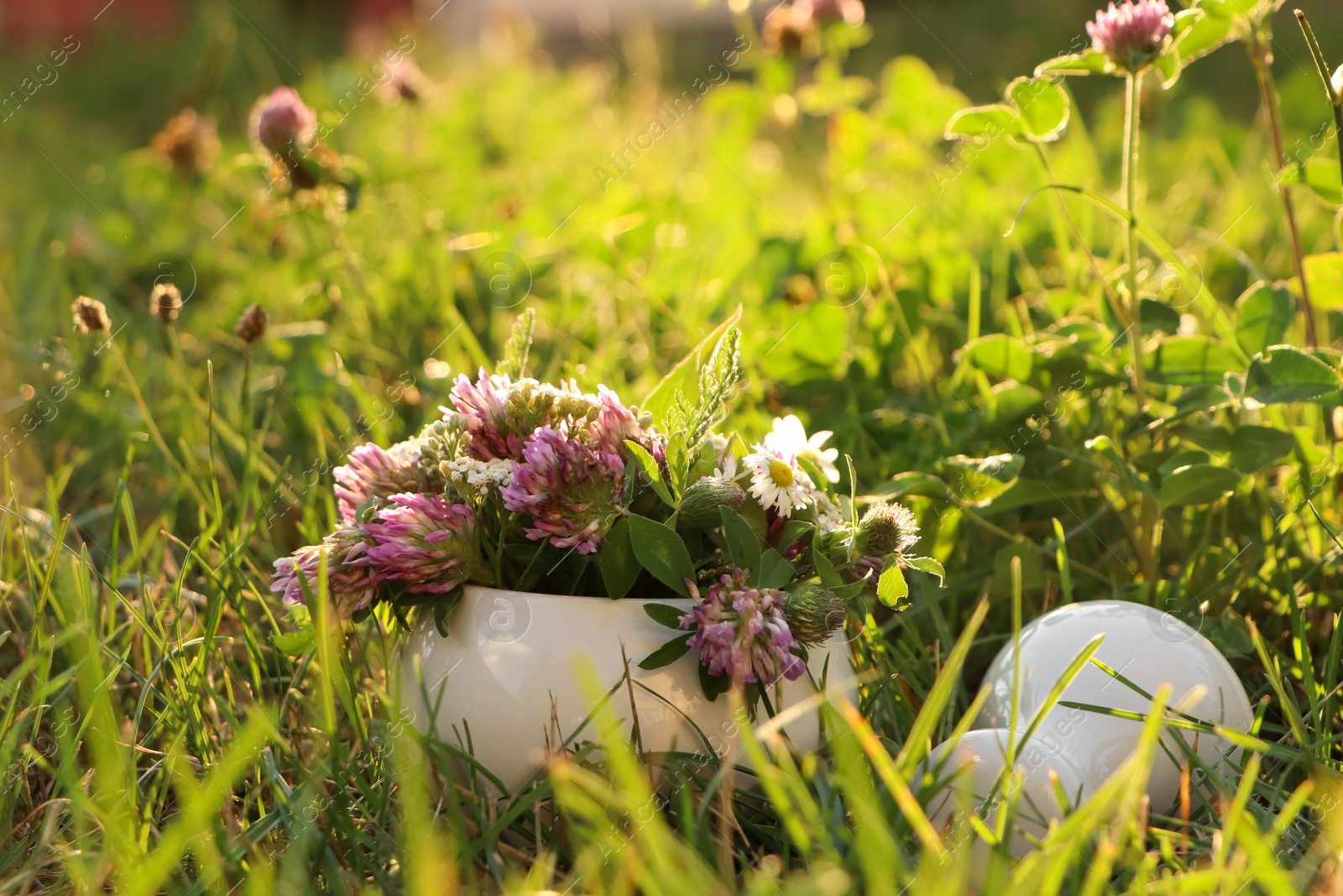 Photo of Ceramic mortar with pestle, different wildflowers and herbs in meadow on sunny day