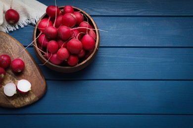 Bowl with fresh ripe radishes on blue wooden table, flat lay. Space for text