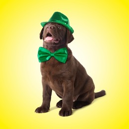 Image of St. Patrick's day celebration. Cute Chocolate Labrador puppy with green hat and bow tie on yellow background