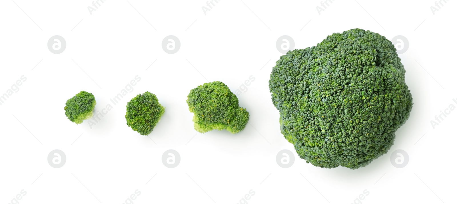 Photo of Flat lay composition with fresh green  broccoli on light background