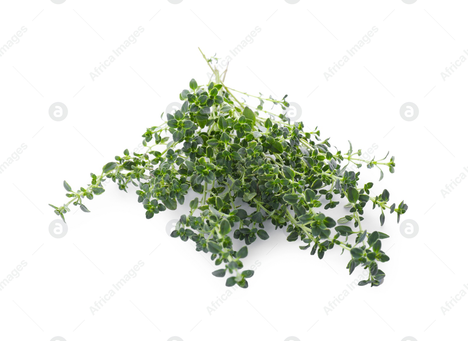 Photo of Bunch of aromatic thyme isolated on white. Fresh herb