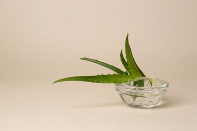 Photo of Bowl with natural gel and fresh aloe on beige background. Space for text