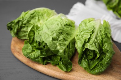 Photo of Fresh green romaine lettuces on grey wooden table, closeup
