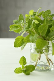 Photo of Sprigs of fresh green oregano in glass jar on white wooden table