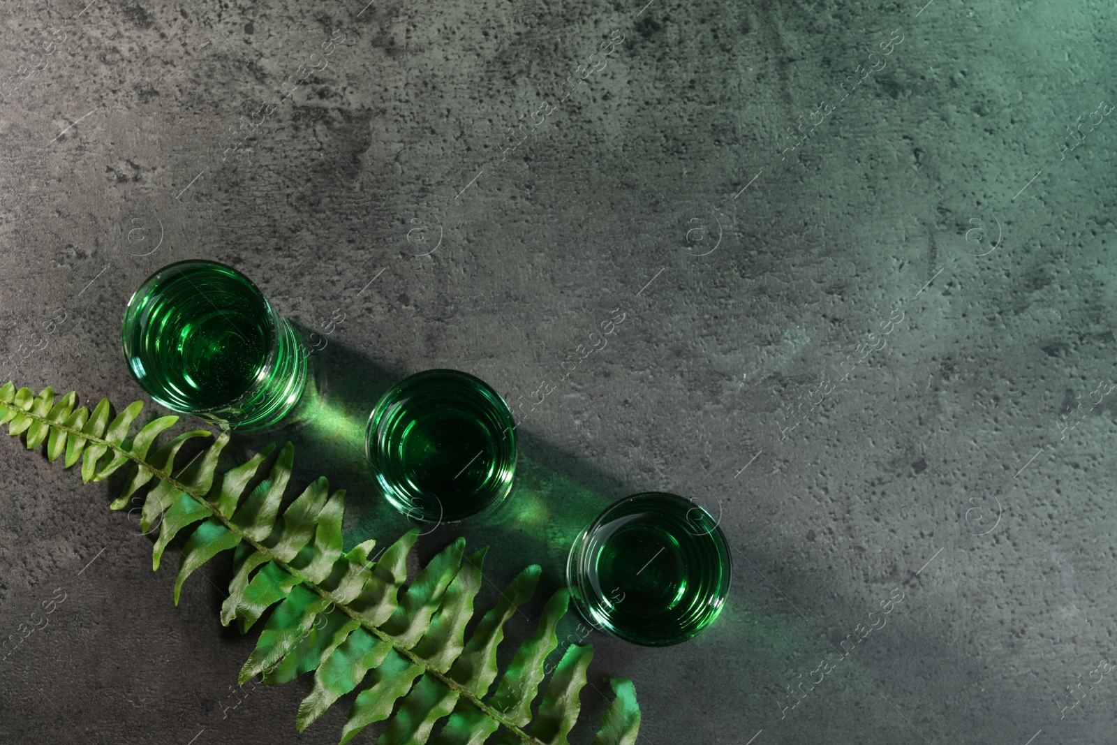 Photo of Absinthe in shot glasses and fern leaf on gray table, flat lay with space for text. Alcoholic drink