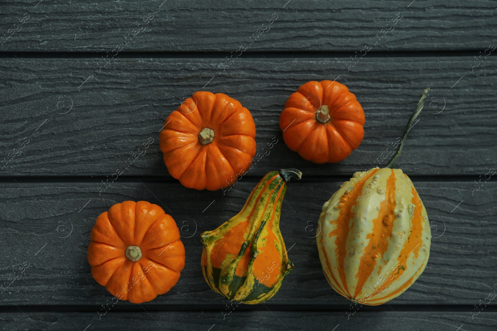 Photo of Many different pumpkins on wooden table, flat lay. Space for text