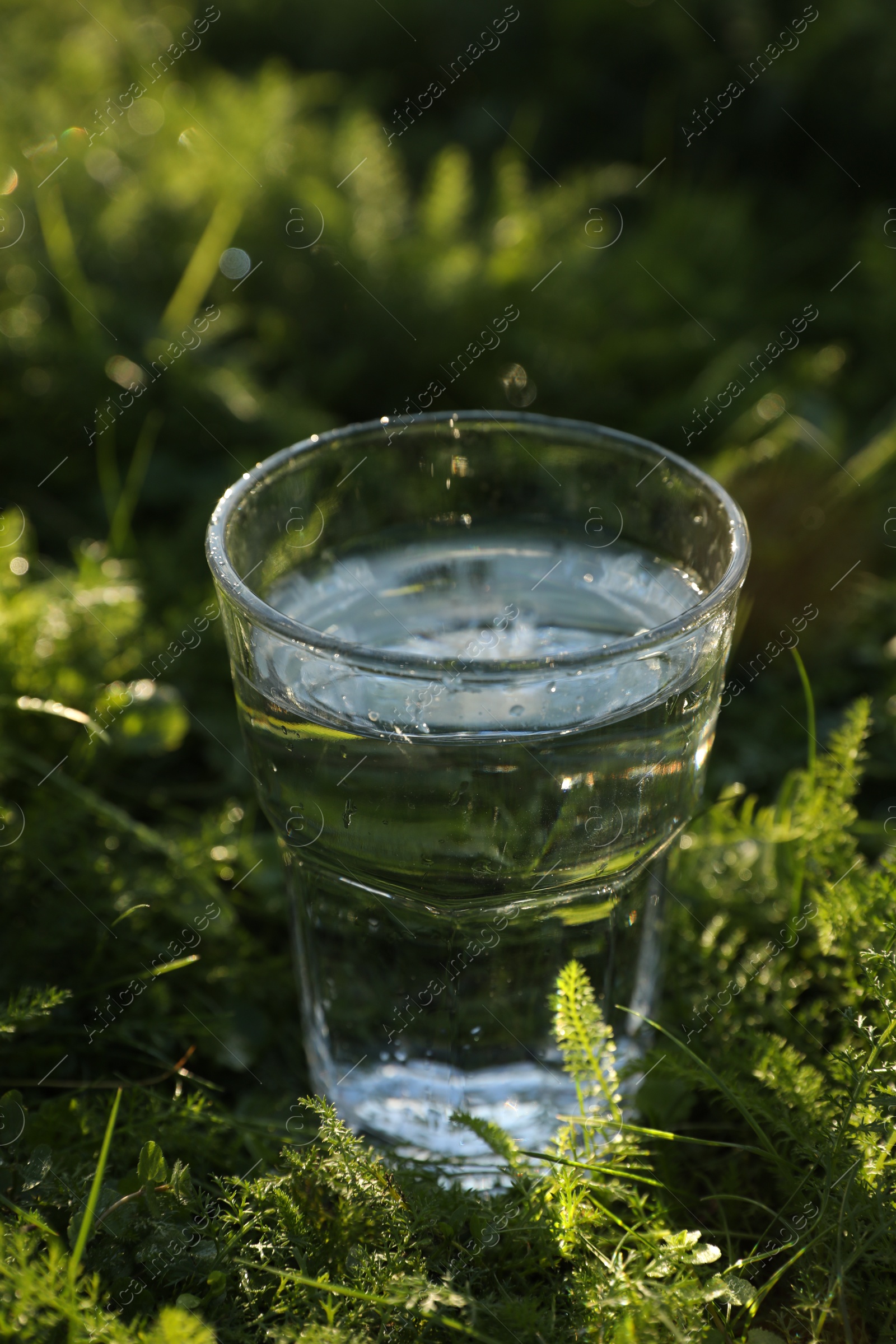 Photo of Glass of fresh water on green grass outdoors