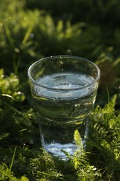 Photo of Glass of fresh water on green grass outdoors