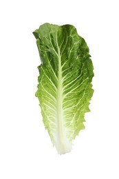 Photo of Fresh leaf of green romaine lettuce isolated on white